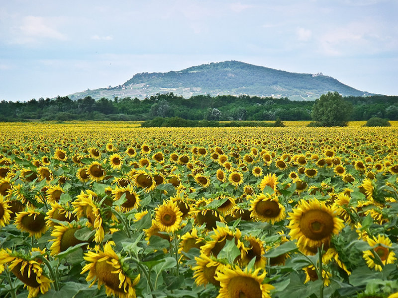 Day 3: Ajka to Gyor