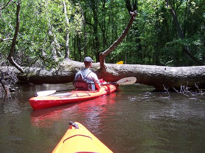 kayaking_adventures