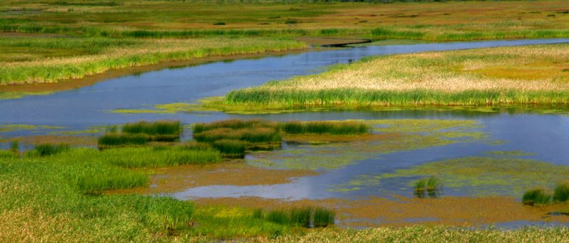 Pierre Joly PHOTOGRAPHE FocusNature