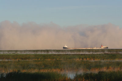 TEMPTE DE BRUME