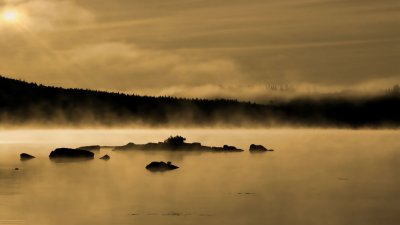 Pierre Joly PHOTOGRAPHE FocusNature