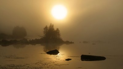 Pierre Joly PHOTOGRAPHE FocusNature