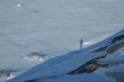 DU HAUT DU MONT TICUL