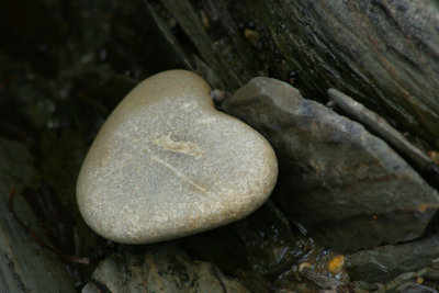 PARC DU BIC