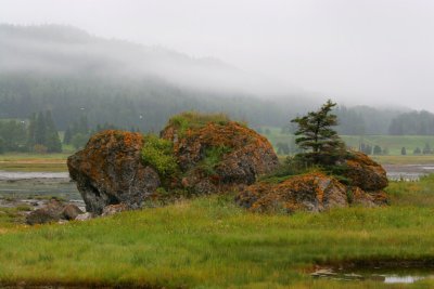 PARC DU BIC