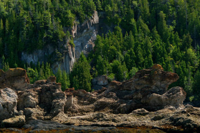 PARC DU BIC