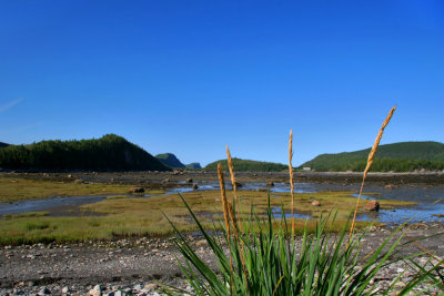 PARC DU BIC