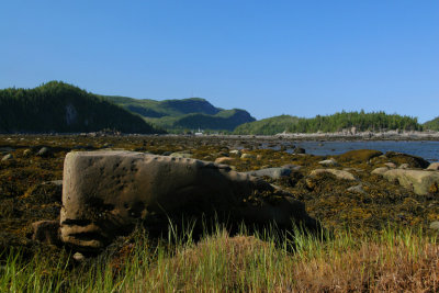 PARC DU BIC