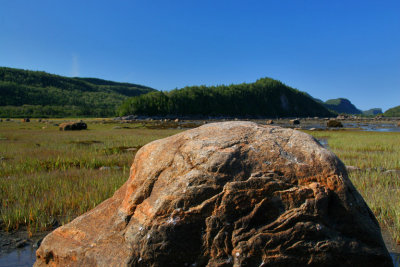 PARC DU BIC