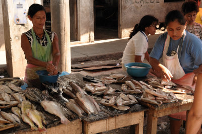 Fish Market 3.JPG