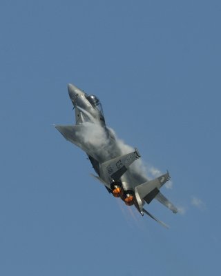 F 15 Eagle 06.JPG