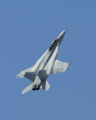 FA18 Rhino 07.JPG