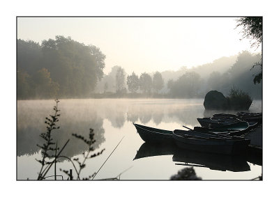 Mysterious Fog