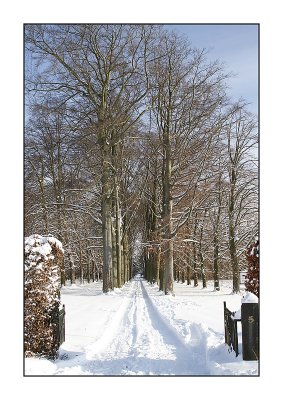 Driveway to the castle