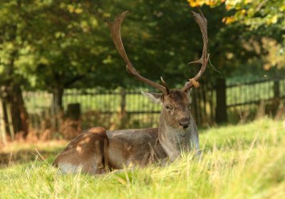 Dunham Massey National Trust