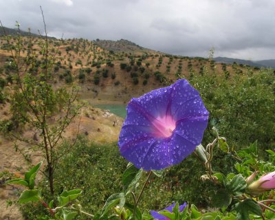 IMG_0155.jpg