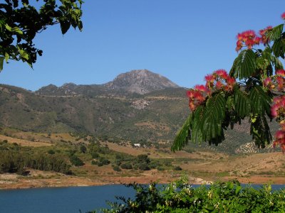 IMG_0202.jpg