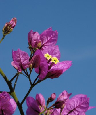 IMG_0207.jpg