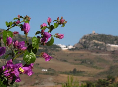 IMG_0208.jpg