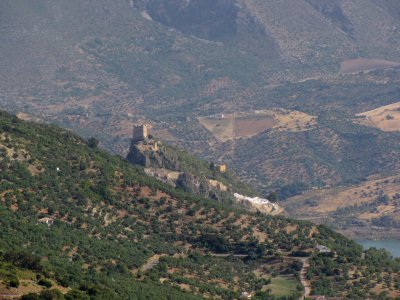 IMG_0336.jpg