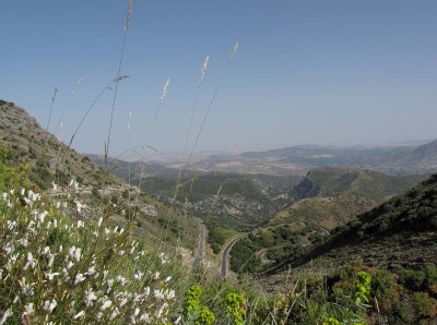 IMG_0348.jpg