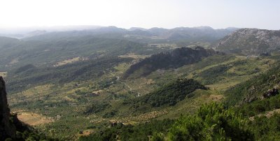 IMG_0351.jpg