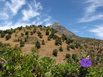 IMG_0275.jpg