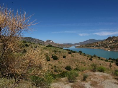 IMG_0288.jpg