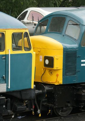 AMJ_4640.jpg
