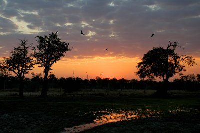 Sundowner
