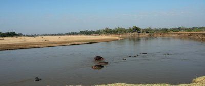 The Luangwa2.jpg