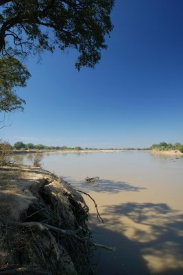 The Luangwa3.jpg