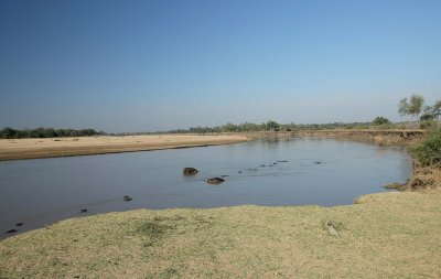 The Luangwa.jpg