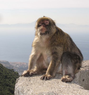 Jerez, Cadiz and Gibraltar