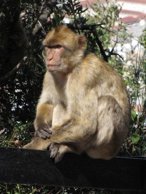 Jerez, Cadiz and Gibraltar