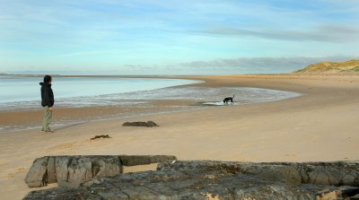 Budle bay