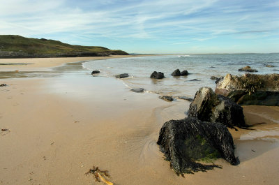 Bamburgh beach