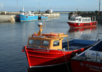 Seahouses harbour