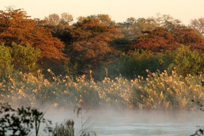 Morning mist on the Kavango River