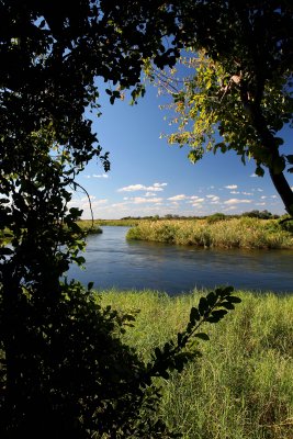 Chobe River.