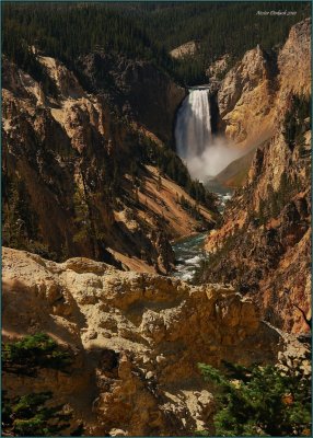 13-  Lower Falls Yellowstone Park