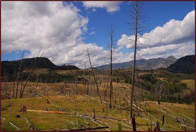 20- Yellowstone Park