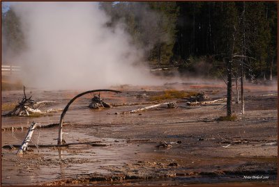 31  Mud  flats and hot springs