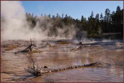 32  Mud flats and hot springs