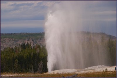 YELLOWSTONE & GRAND TETON   NATIONAL  PARK