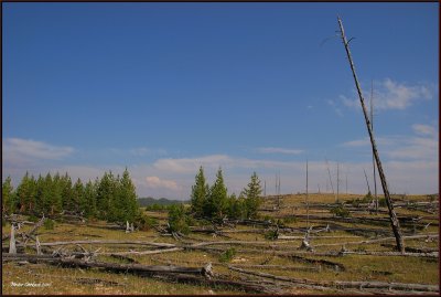 39-Yellowstone National Park