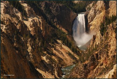 40- Landscape view Lower Falls  of Yellowstone National Park