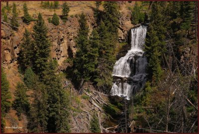 64- Yellowstone National Park