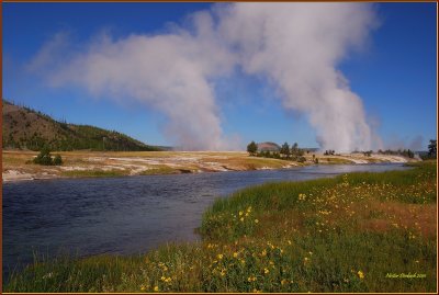 71- Yellowstone National Park