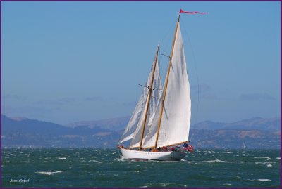  San Francisco Bay sailing version  2